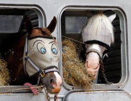 О... Почему не на мне?