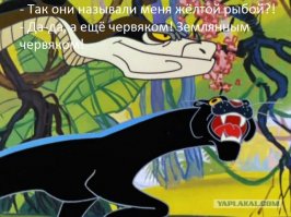 Еще никогда Каа так не унижали !