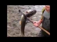 Не поддавайтесь паники