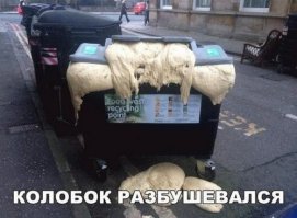 Скорее, начал размножаться