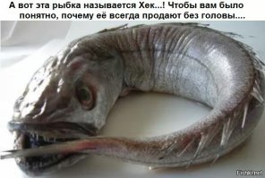 Подруга Хека