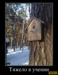 Печально… Но это ждет всех школьников