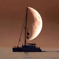 15 потрясающих фотографий, сделанных в нужный момент