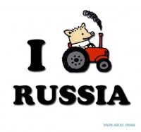 Шокирующее откровение убийцы блогера в "Пусть говорят"