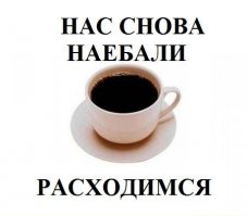 Один день из жизни домашнего кота