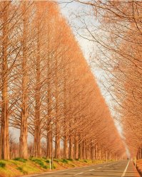 14 парных фотографий, где в каждой паре - ад и рай для перфекциониста