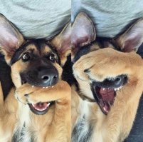 Экзорцист уже задолбался бегать по вызовам