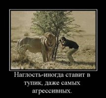 Вот что бывает, когда у людей отключаестя здравый смысл!