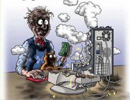 Кошка из матрицы взорвала интернет!