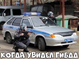 Вот только использовать автомобиль,как защиту от пуль-не лучшая идея...как временное укрытие,чтоб не заметили,ещё куда не шло...