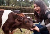 это теленок, валенок, у него сосательнфй рефлекс не более. Не суй ему в рот ничего и ничего не произойдет.