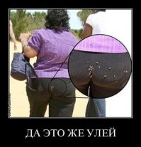 Из улия в улий.