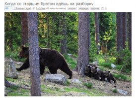 Подборка смешных и интересных картинок из соцсетей