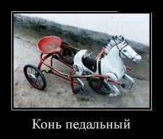 Вещи, о которых все слышали, но мало кто видел