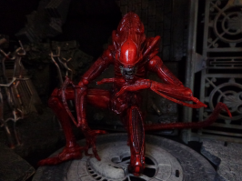 Чужой. Начало.