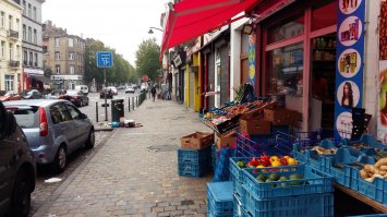 Да, что показать то? Мигрантов? Всех чтоли? Я выложил фото с ними, их видно, что ещё? Мусор? Больше мусора и красивых видов?

Ну на, вот мусор а вот вид из окна отеля)