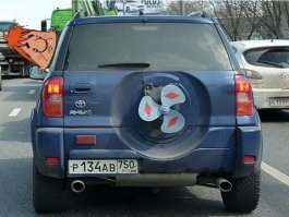 Автовсячина