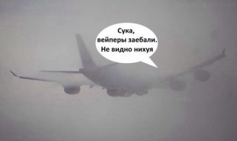 Смерть птиц после странных "туманов" в России