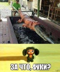 Крокодил солнце в небе проглотил