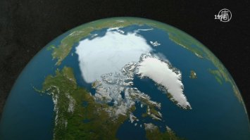 Ты видишь медведя-а он там есть)))