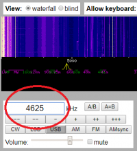 Для кого работает загадочная радиостанция «Жужжалка»?