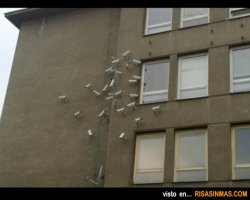 Маловато камер!