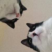 Вставай раб, кормить пора!:)