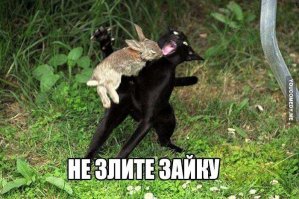 Да, это он! Я узнал его по ноге.