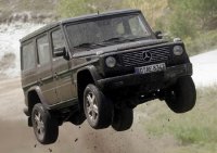 Гелик в естественной среде обитания )