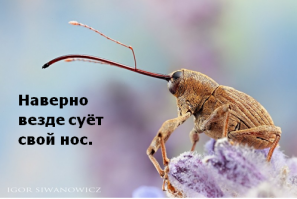 Мне тоже понравились фотки, но с описанием было бы лучше намного!