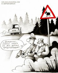 Воскресная подзарядка