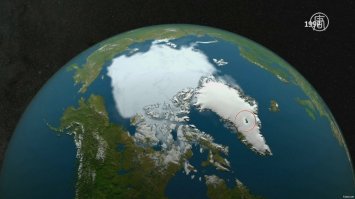 Квест по фотографиям: найди белого мишку!