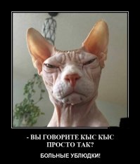 Свежая подборка демотиваторов, которые поднимут вам настроение