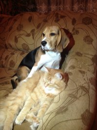 А это мои домашние питомцы!