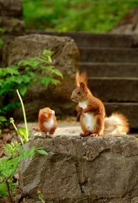 И остался он с мамой!