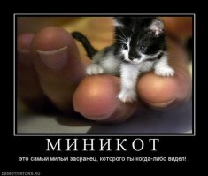 Ну как такого не любить?