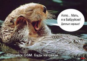 Очередная порция картинок с подписями