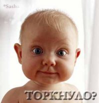Смешные картинки с надписями