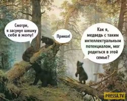 Новозеландский пчеловод на спор просидел 30 секунд на улье без трусов