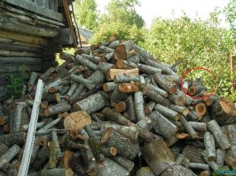 Чего его искать?  :)