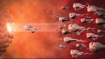 Кого то они напоминают )))))