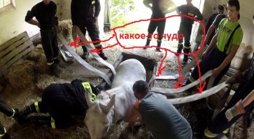 "Невероятно, но каким-то чудом Свобода сумела выбраться из ловушки!"