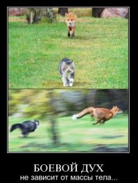 Очередная порция картинок с подписями