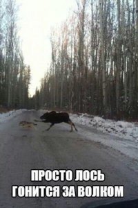 Яйца вернул падла!