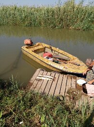 Вот мой спиннер.