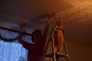 Новая подборка фотографий, сделанных в нужный момент