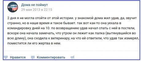 к первой фото вспомнилась эта история
.