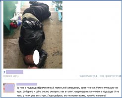 Смешные комментарии из социальных сетей