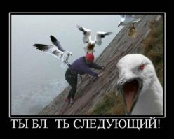 Смешное из Соцсетей