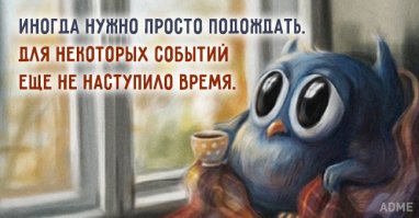 25 открыток с отборным юмором